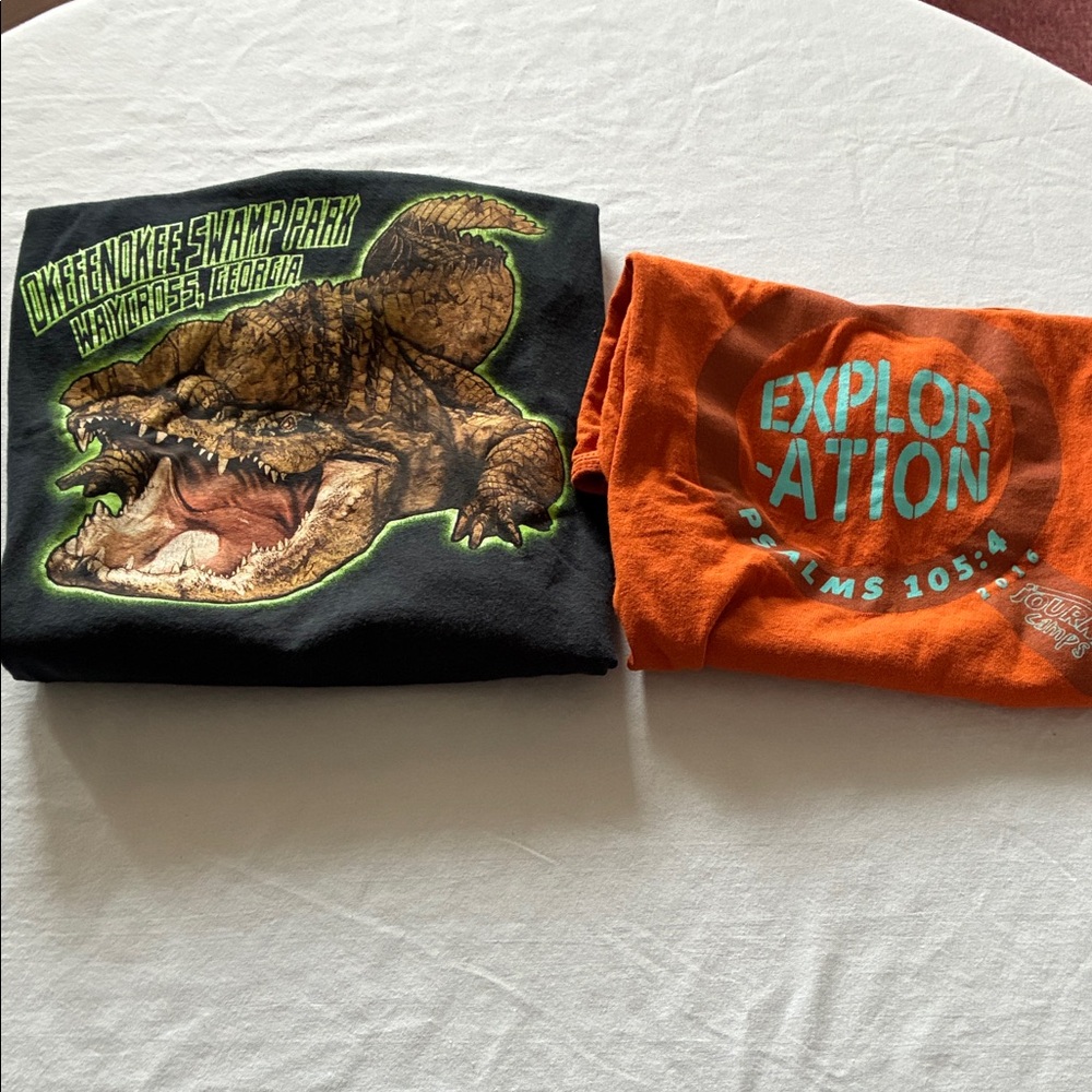 Okeefenokee Swamp Park Black Reptile Graphic Tee